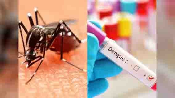 लखनऊ में डेंगू का बढ़ता प्रकोप, 434 मरीज मिलने से स्वास्थ्य विभाग अलर्ट
