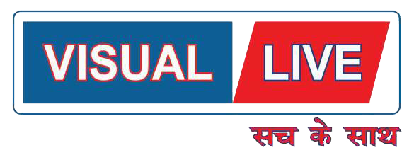 Visual Live Logo